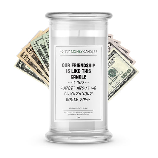 Our Friendship is Like The Candle If You Forget about me I'll burn your house down Money Funny Candles