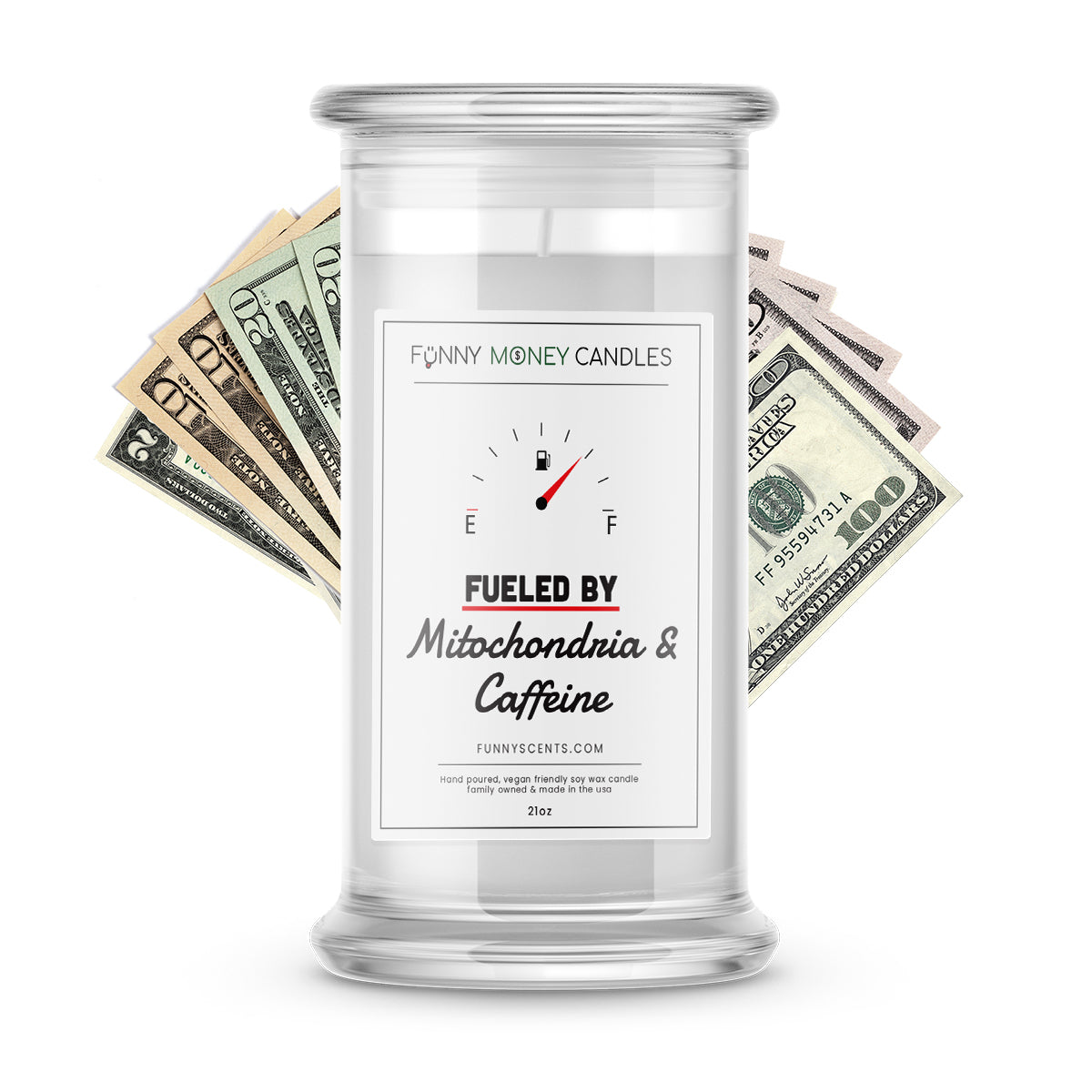 Fueled By Mitochondria and Caffeine Money Funny Candles