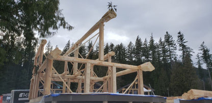 Moose Lodge Cabin Kit (2 sizes offered)
