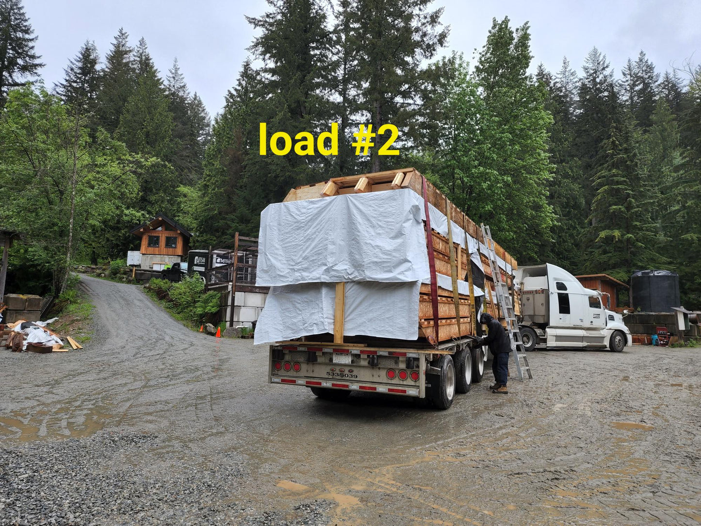 Moose Lodge Cabin Kit (2 sizes offered)