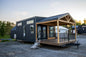 The LUXURY ASPEN A-Frame Tiny Home/ Park Model RV