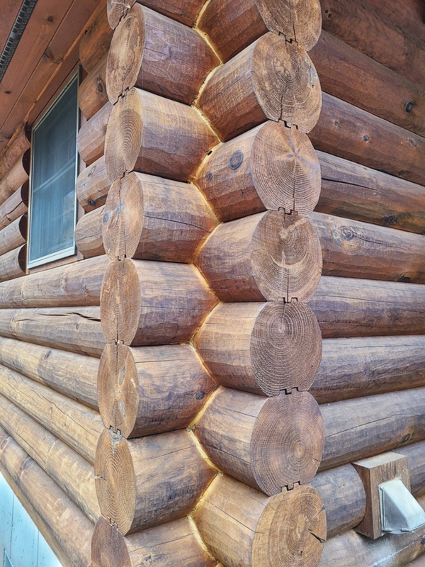 The Cameroon Cabin – Luxury Log Home Kit