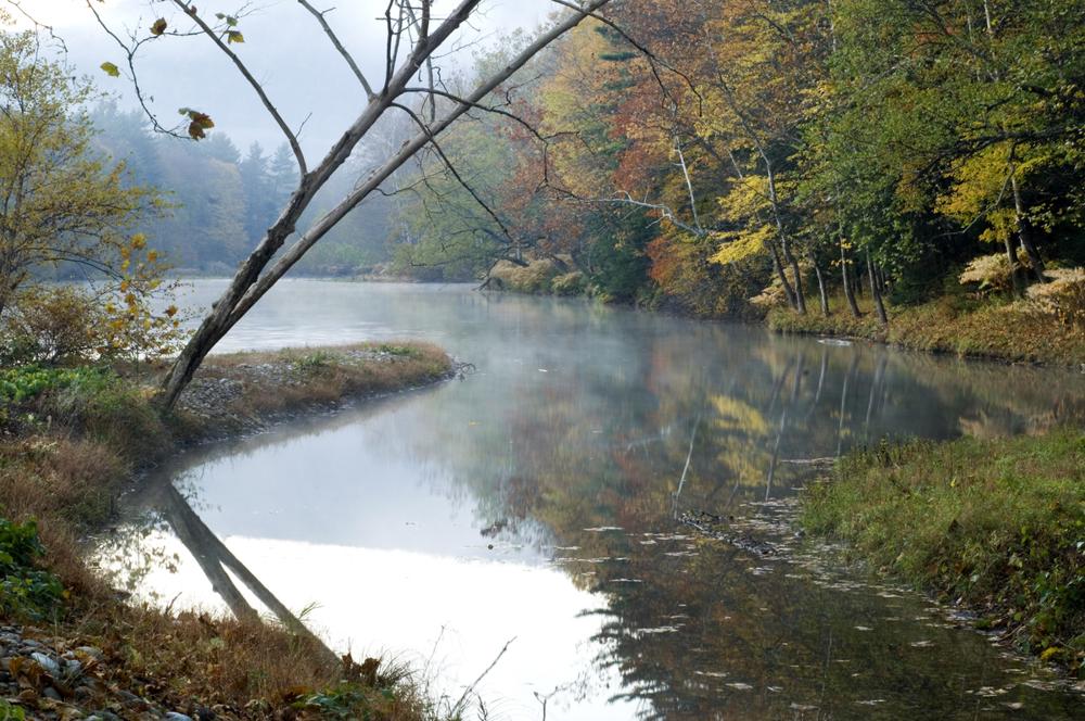 The Dreamy Fields Cabin – Luxury Log Home Kit