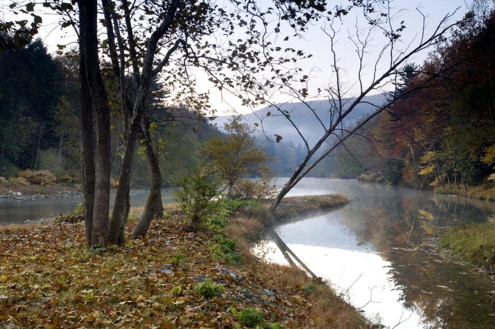 The Dreamy Fields Cabin – Luxury Log Home Kit