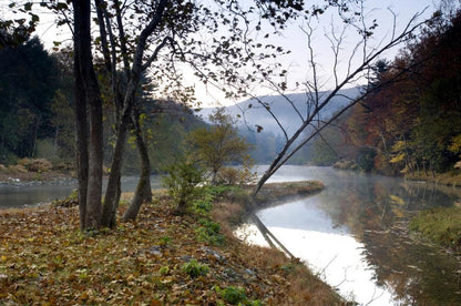 The Dreamy Fields Cabin – Luxury Log Home Kit