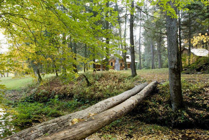 The Dreamy Fields Cabin – Luxury Log Home Kit