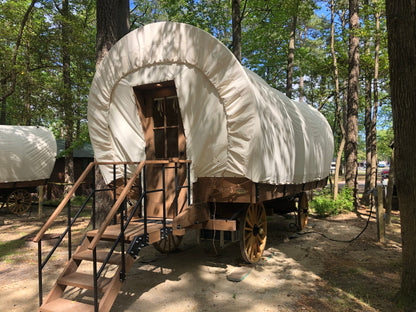 Amish Built Cabin Wagon - Inspired by Oregon Trail