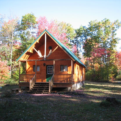 Aspire Log Cabin Kit